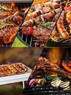 Barbecue à Charbon, BBQ Grill Démontable Pliable Portable en Acier