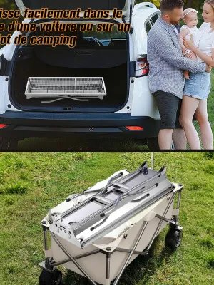 Barbecue à Charbon, BBQ Grill Démontable Pliable Portable en Acier
